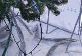 Одну из главных новогодних елок Череповца атаковали вандалы