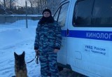 Загулявшего пенсионера из Череповца привели домой только с помощью полицейской собаки