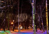 Подсветку деревьев в Череповце не будут убирать до конца зимы