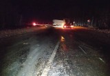 В смертельной аварии под Вытегрой столкнулись два грузовика