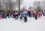 В Череповце назвали победителей спортивных забегов «Лыжни России»