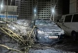 Более 300 человек остались без света в Череповецком районе после ночного урагана