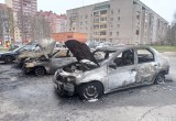 Наркоманы-поджигатели из Череповца, спалившие три автомобиля и магазин, проведут в тюрьме несколько лет