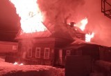 Крупный пожар на северо-востоке Вологодчины унес жизни трех человек