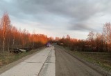 В Череповецком районе машина с молодым водителем вылетела в кювет и перевернулась