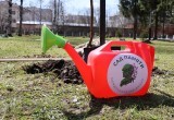 Губернатор Вологодчины в преддверии Дня Победы решил заняться посадкой деревьев