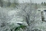 Жителей восточных районов Вологодской области снова завалило снегом
