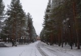 В Вологодской области завершено расследование уголовного дела в отношении экс-гендиректора "Деда Мороза"