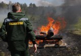 В Череповецком районе спасатели тушили лесные и торфяные пожары