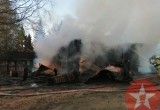 Под Шексной четверо взрослых и двое детей пострадали при пожаре в дачном доме