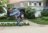 Житель Череповца ворует собак на самовыгуле