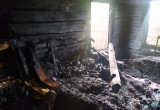 Двух пони спасли во время пожара в частном доме под Шексной