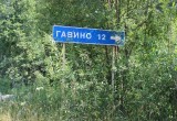 Под Череповцом дорогу между Дуброво и Гавино засыплют щебнем за 8 млн рублей