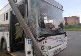 В Череповце врезался в столб, пострадали три пассажирки