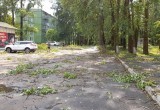 В Вологодской области несколько населенных пунктов остались без света после грозы