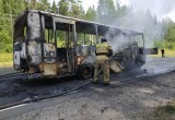 Пассажирский автобус загорелся в Вологодской области прямо во время движения 