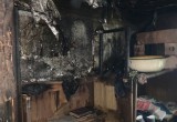 Череповчанин попал в реанимацию после пожара в дачном доме