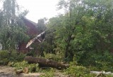 Сильнейший ураган оставил без света больше половины жителей Бабаева