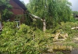 Сильнейший ураган оставил без света больше половины жителей Бабаева