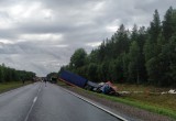 Водитель легковушки погиб после столкновения с грузовиком на федеральной трассе в Вологодской области