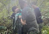 Трехлетнего мальчика, пропавшего под Великим Устюгом, нашли живым в лесополосе