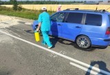 В Грязовецком районе из-за выявления очага чумы установлен санитарно-карантинный пост