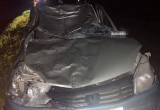 Водитель и пассажир иномарки пострадали после столкновения с лосем на федеральной трассе в Вологодской области