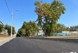 Дорожникам удалось сохранить деревья при строительстве проезда к школе № 30 в Череповце