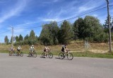 Под Череповцом проходят тренировки спортсменов российской сборной по ездовому спорту