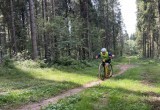 Под Череповцом проходят тренировки спортсменов российской сборной по ездовому спорту