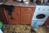 Под Вологдой пенсионерка погибла после пожара на кухне