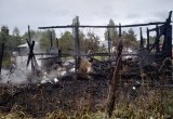 Дачный дом сгорел дотла в Череповецком районе: пострадала женщина