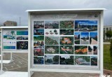 Первая фотовыставка под открытым небом заработала в Череповце