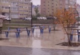 В Череповце продолжаются работы по озеленению "Парка здоровья" на улице Годовикова