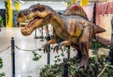 «Они двигаются и рычат»! В Череповце открывается интерактивная выставка «Вторжение динозавров»