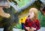 «Они двигаются и рычат»! В Череповце открывается интерактивная выставка «Вторжение динозавров»