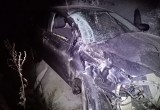В Вологодской области девушка за рулем "Тойоты" получила травмы после вылета в кювет