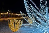 Улицы и площади Череповца готовы встречать Новый год