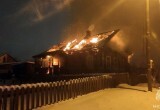 В Вологодской области страшный пожар унес жизни матери и сына