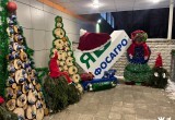 В Череповце подвели итоги конкурса на лучшее новогоднее украшение школ и детских садов