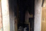 Череповчанин получил ожог головы во время квартирного пожара на Архангельской 