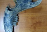 В Череповце во время работ по реконструкции здания Музея природы нашли кости