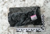 Парочка наркосбытчиков приехала на родину Деда Мороза с рюкзаком, полным наркотиков