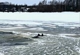 Под Череповцом рыбак провалился под лед и утонул вместе со снегоходом