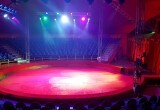 Масштабное цирковое шоу с оркестром уже в Череповце!