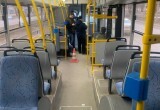 В Череповце таксист врезался пассажирский автобус: есть пострадавшая