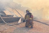 В Вологде локализован крупный пожар в ангаре деревообрабатывающего предприятия