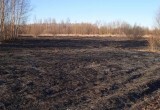 В двух деревнях под Грязовцем сгорели 14 домов и больше 20 гектаров сухостоя