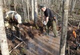 Поисковикииз Череповца нашли останки 5 солдат во время раскопок на новгородской земле