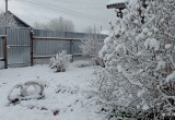 Северо-западные районы Вологодской области завалило снегом